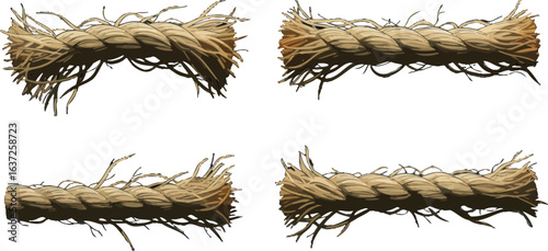 Four textured rope segments for creative graphic design applications