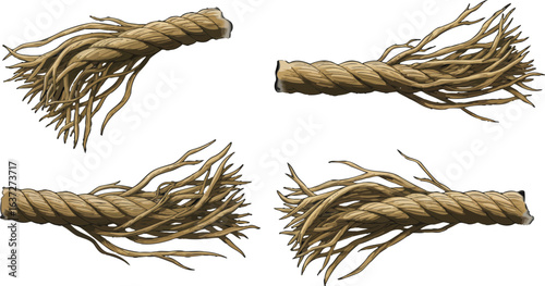 Deconstructed Rope Strands, Illustrating Strength and Vulnerability Concept