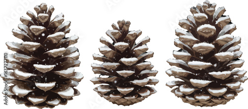 Delicate pinecones adorned with sparkling snow, presented as a crisp graphic