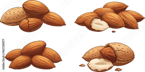 Various Almond Arrangements on Isolated Backdrop Offering Natural Snack Vibes