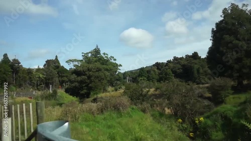 Beautiful views during a road trip on New Zealand's North Island.