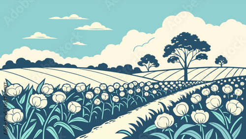 Cotton field landscape vector illustration with blue sky and clouds vintage style design for print