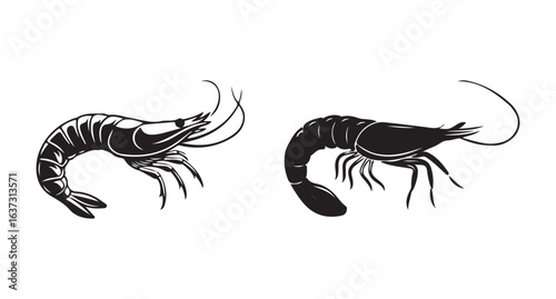 Black shrimp animal set icon. Vector of shrimp animal, shrimp silhouette, black shrimps isolated on white background. eps 10