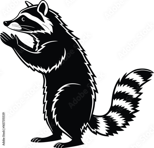 Wallpaper Mural Upright raccoon standing with bushy tail silhouette Torontodigital.ca