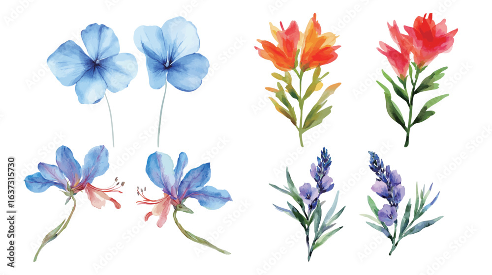 Fototapeta premium Beautiful watercolor poster featuring two Lechenaultia flowers with delicate petals and soft pastel colors, perfect for botanical art, floral decoration, nature-inspired design, and elegant home 