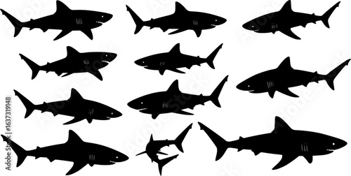 A series of black and white shark silhouettes. The sharks are all different sizes and are shown in various poses. Scene is one of excitement and adventure, as the sharks are depicted as powerfu