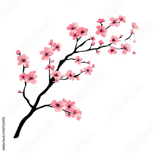 Japanese cherry blossom branches,vector