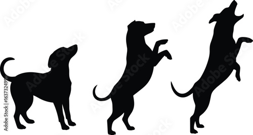 Silhouettes of playful dogs in various jumping and standing poses, black dog figures isolated on white background, pet activity concept