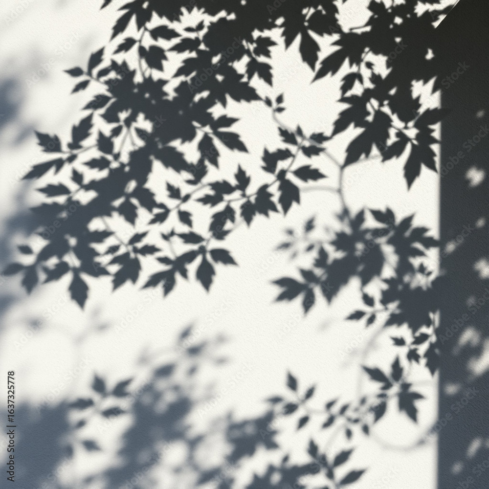 Obraz premium shadow overlay effects of realistic abstract natural tree leaves shadow on wall background,Summer sunlight and shadow overlay effect,shadow for photo interior backdrop studio mockup