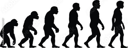 Evolution of man, human evolution timeline, prehistoric to modern man, anthropology, early humans, biological evolution, hominid development, fossil study, ancient ancestors, natural selection