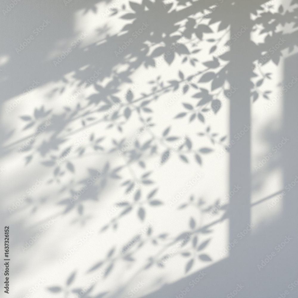 Obraz premium shadow overlay effects of realistic abstract natural tree leaves shadow on wall background,Summer sunlight and shadow overlay effect,shadow for photo interior backdrop studio mockup