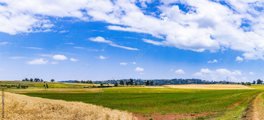 Fototapeta premium Malaso World End Viewpoint Samburu County Great Rift Valley Wheat Farm Landscapes Panoramic Scenic Views Kenya East Africa Fields Meadows Vegetations Travels Documentary Explore Dramatic Clouds Magica