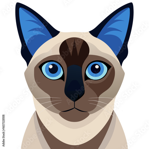 vector illustration of siamese cat, head close-up, flat design