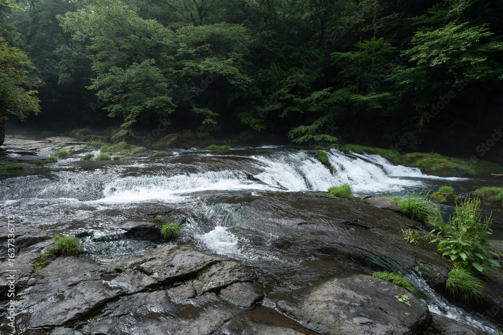 Obraz premium 夏の朝の雨上がりの広河原