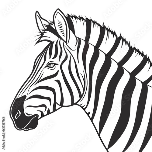 Zebra head vector design.