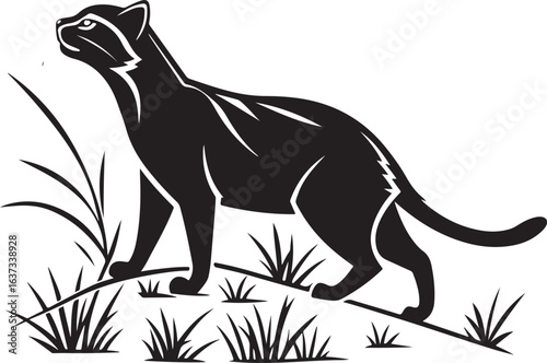 Black cat standing in grass with white linework animal