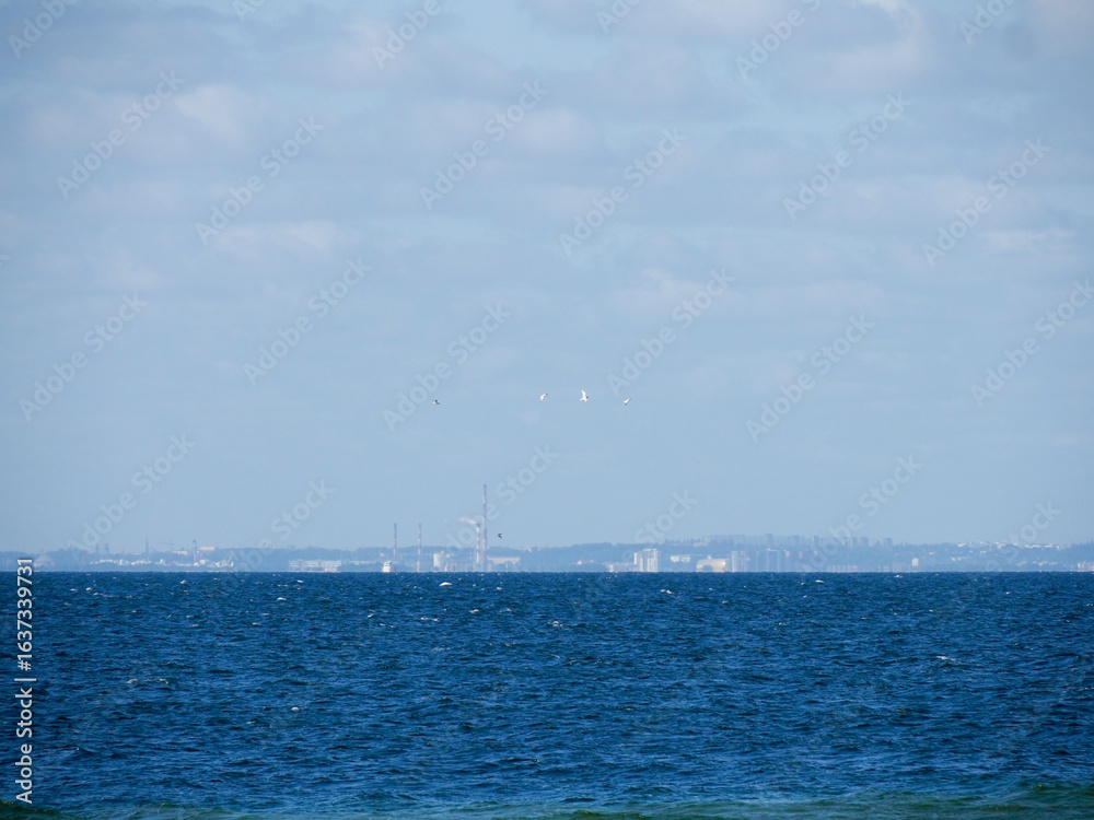 Fototapeta premium Calm blue sea surface with a soft, slightly hazy horizon line and a clear sky above.