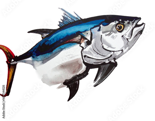 An illustration of tuna drawn with a brush. Interesting. Handwritten style. Brush. Seafood. Seafood delicacies. Snacks. Animals. Living creatures. Ink. Ink painting. Otoro. Bluefin tuna. Toro. Tuna.