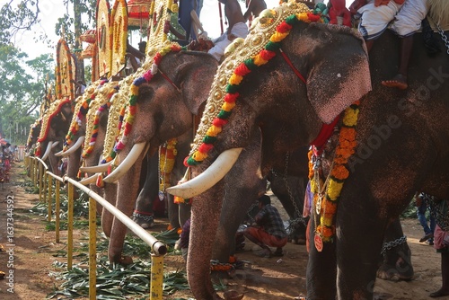 Photography World famous classical pooram festivels in thrissur, kerala, india