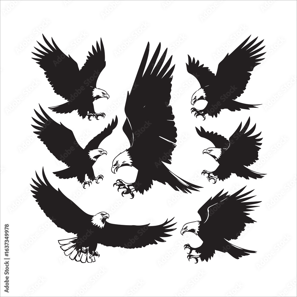 Obraz premium Graphics resources 