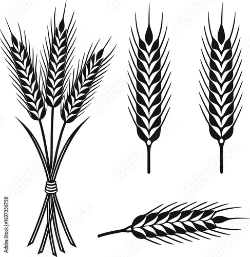 Black and white wheat ears and sheaf grain cereal