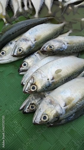 fresh fish on market stall