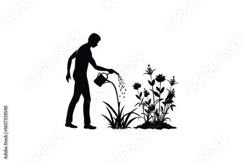 A man watering flowers in a silhouette style