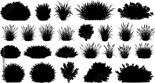 set of bush grass shrub herb silhouette vector transparent background
