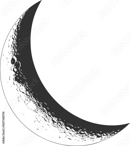 Black crescent moon silhouette with detailed lunar texture, elegant night sky symbol for astronomy, celestial art, tattoo design, astrology, and minimalist graphic projects.