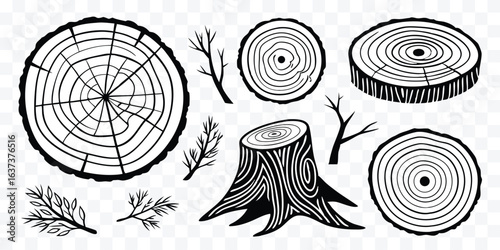 Hand drawn tree rings and tree stumps in a minimalist style perfect for ecological themed designs and illustrations