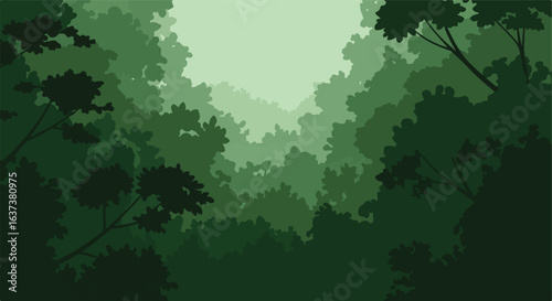 Silhouetted green forest canopy in multiple shades, overhead view to light