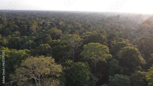Aerial view showcasing a vast, dense, and lush green tropical rainforest canopy under a hazy sky.