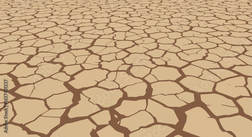 Cracked brown earth stretching out to the horizon, parched and dry surface texture