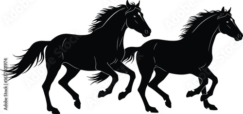 Two galloping horse silhouettes vector illustration, running stallions black graphic, wild equine motion artwork, elegant animal trot design, detailed horse gait art print