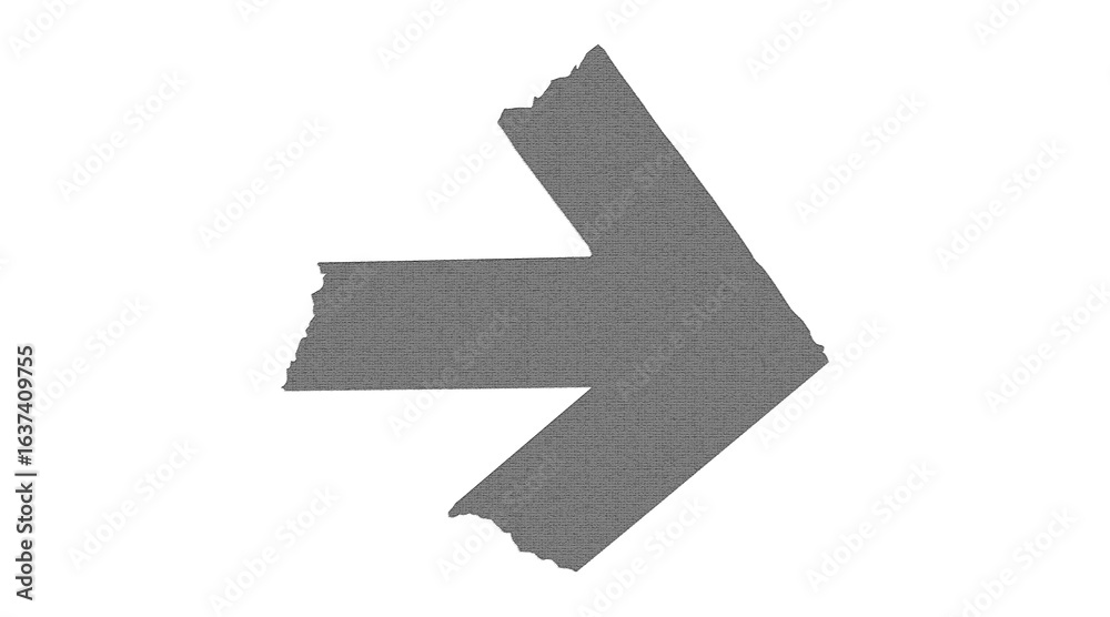 Obraz premium grey effect Adhesive Torn Objects