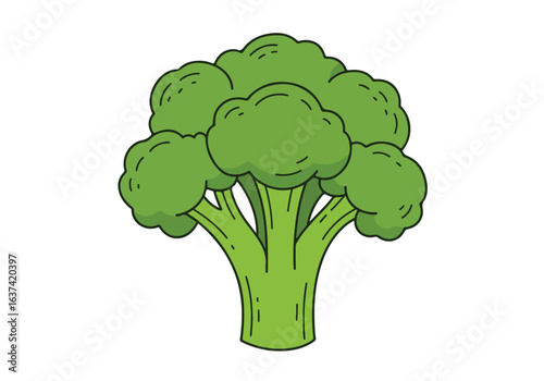 Broccoli floret isolated on white backdrop for illustrating healthy recipes