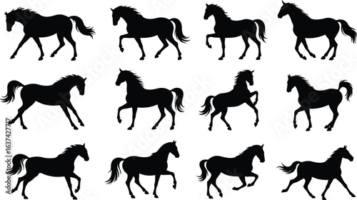 Running horse silhouette set, black horse walking icons, animal motion poses, equine vector illustration, wild mustang graphic, isolated design