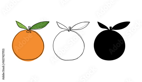 A colored orange with a leaf. Vector illustration with a line, contour, silhouette, hand-drawn, flat design. A set of different versions of modern fruit graphic elements, icons for decoration, design