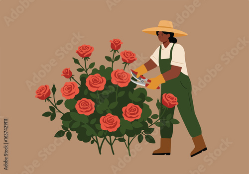 Person trims rose bushes in an empty garden; cultivating plants for landscaping