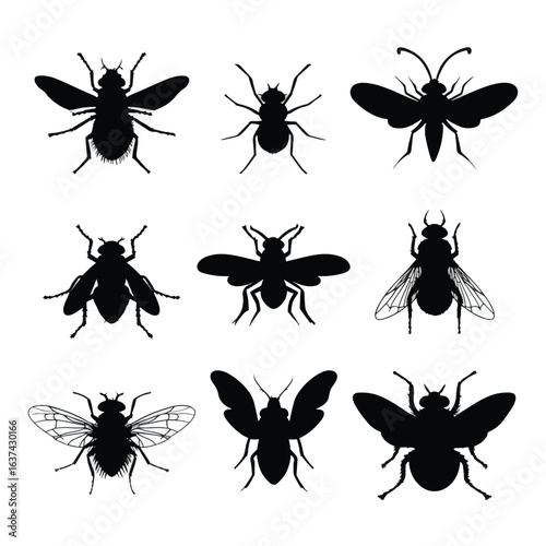Vector silhouette set of Halloween Fly isolated in White background, silhouette Set, Halloween theme, Vector illustration