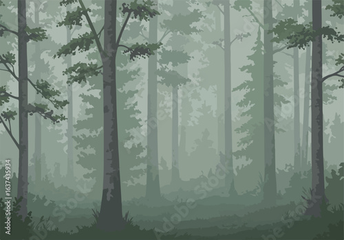Illustration of a forest with fog in the background to be used for backgrounds