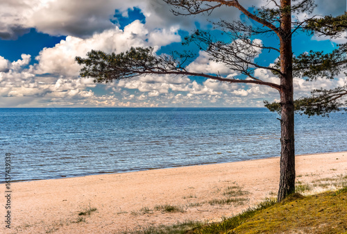 Sandy beaches, dunes and pine forests in Jurmala - famous tourist resort and ...