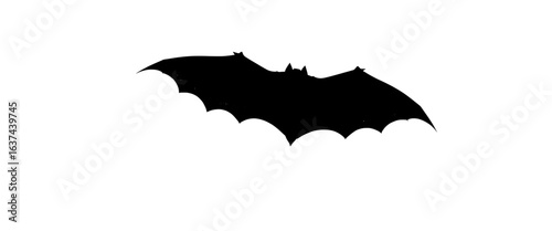 a stark silhouette: isolated black bat against a clean white backdrop