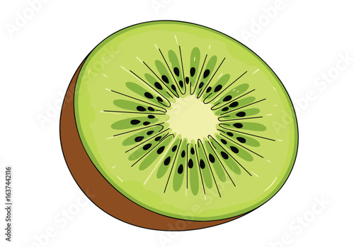 Isolated halved kiwi fruit, illustration on white background. Clipping path