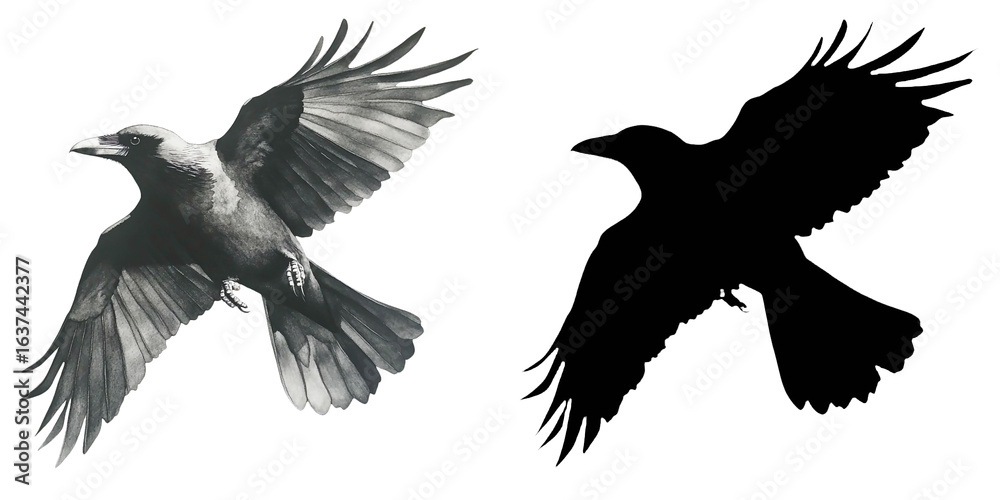 Obraz premium PNG a white bird flying through a black sky with a transparent background