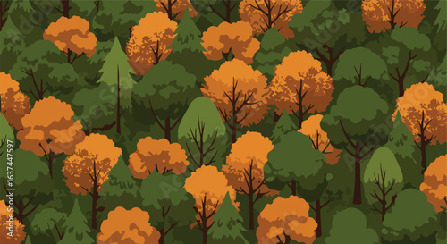 Dense Autumnal Forest Texture, wallpaper, background. Green pines, orange trees