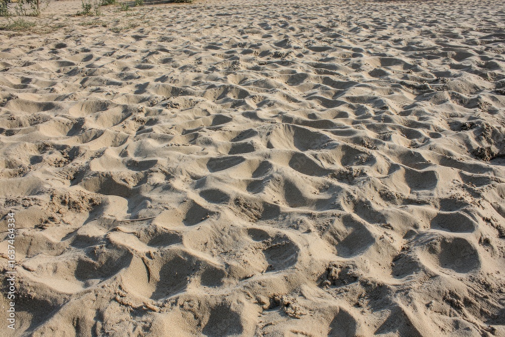 Fototapeta premium Light beige sand with subtle depressions