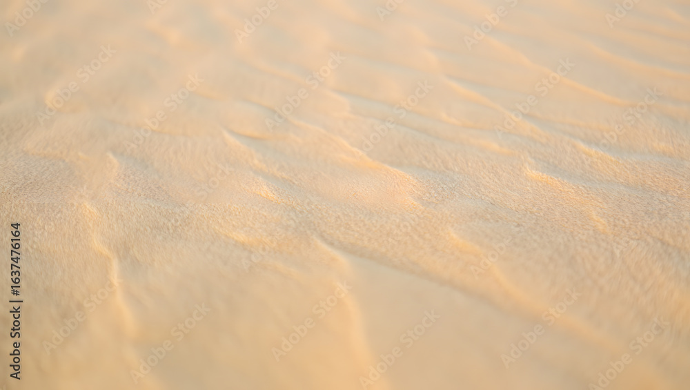 Fototapeta premium Soft Beige Sand Dune Texture: Warm, Serene, Natural Background Image