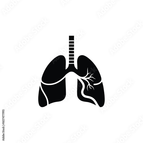 Black and White Lungs Vector Illustration