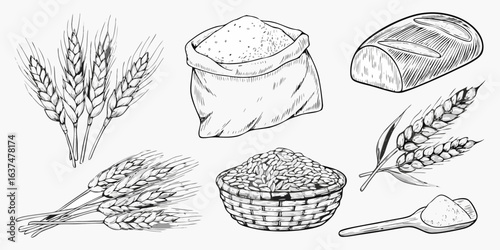 Wheat and bread ingredients in a hand drawn sketch style